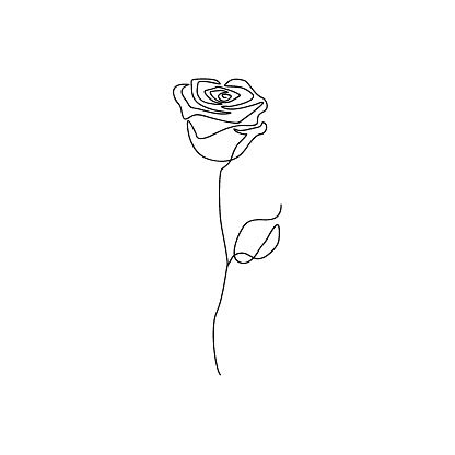 One Line Rose Design Hand Drawn Minimalism Style Stock Illustration - Download Image Now - iStock