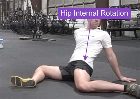 Ultimate Guide to Hip Mobility - Everything for your Hips - Movement Fix