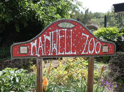 Visit Hanwell Zoo, Also Known As The Bunny Park | Londonist