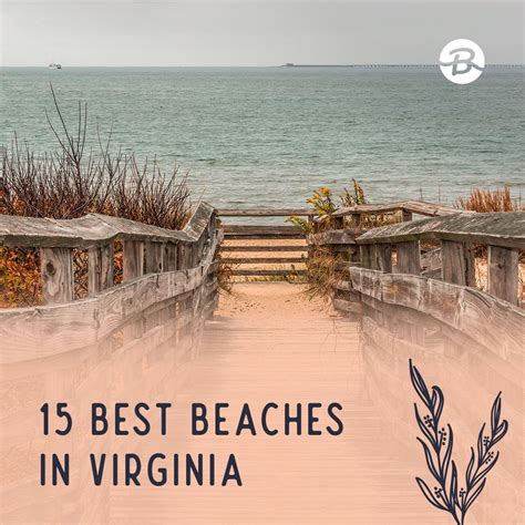 15 best beaches in virginia – Artofit