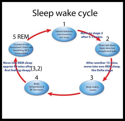 Sleep-wake Cycle Manipulation for Depression and Anxiety Removal - Good ...