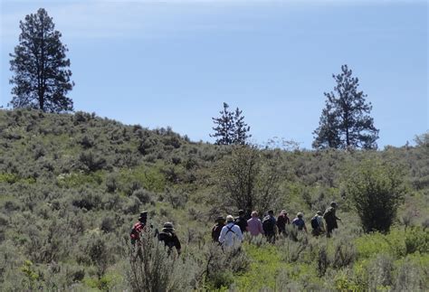 White Lake to Mahoney Lake – Vermilion Forks Field Naturalists