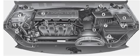 Kia Optima: Engine compartment - Maintenance - Kia Optima TF (2011–2015 ...