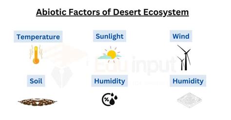 Biotic And Abiotic Factors Of Desert Ecosystem