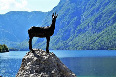 Bohinj Lake - Free photo on Pixabay