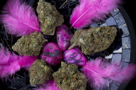 Pink Kush is a Cannabis Strain With a Bit of Attitude | London Free Press
