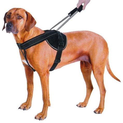 quick-control-training-harness-with-integrated-retractable-handle ...