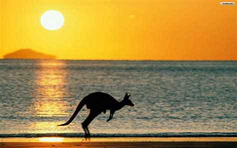 Australia Beaches Wallpapers - Top Free Australia Beaches Backgrounds ...