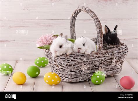 White rabbits with flowers hi-res stock photography and images - Alamy