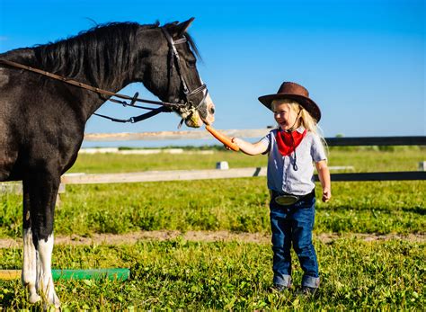 Watch for These Summer Skin Issues in Horses!