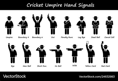 Cricket umpire referee hand signals stick figure Vector Image