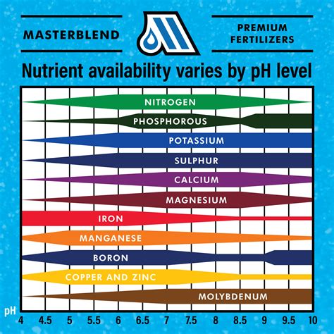 What Effect Does pH Have on Nutrient Uptake in Plants? • Masterblend International