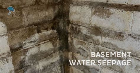 How to Control and Prevent Basement Seepage | Waterproofing NJ