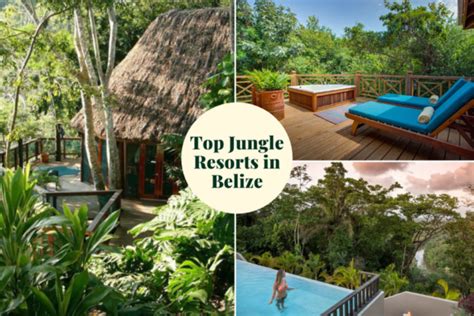 The Top Eco Lodges and Jungle Resorts in Belize