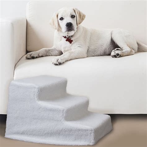 Treat Your Pet with a Luxury Elevated Dog Bed