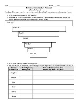 Binomial Nomenclature Naming Worksheet Answers