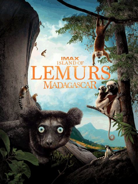 The Island Of Lemurs: Madagascar is Coming to Blu-ray March 31 | IMAX