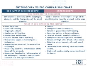 EGD Endoscopy Enteroscopy: Are They All The Same Procedures?