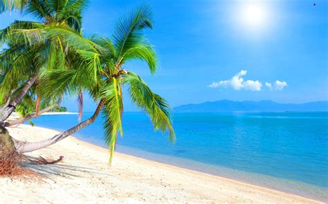 10 Latest Free Caribbean Beach Wallpaper FULL HD 1080p For PC Desktop 2023