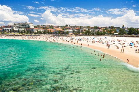 Best Beaches in Sydney, Australia | AquaMobile Swim School