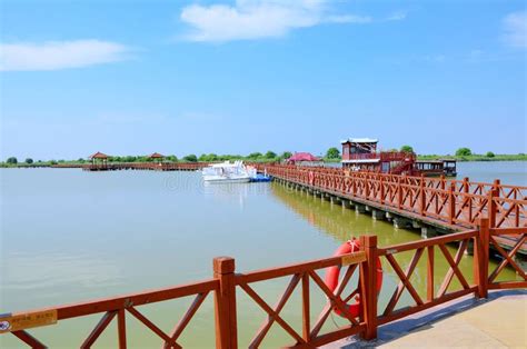 Wooden Trestle in Dongying Yellow River Delta Wetland Park Stock Image ...