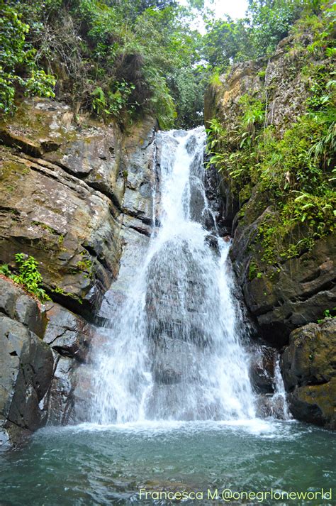 Hiking Solo in El Yunque, Puerto Rico - One Girl One World