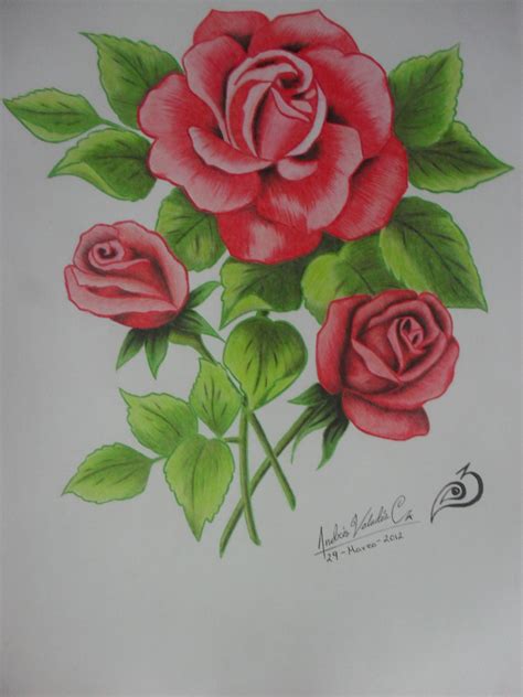 Rosas Imagenes De Flores Para Dibujar A Lapiz
