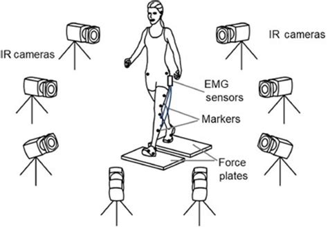 Engineering at Alberta Courses » Gait analysis