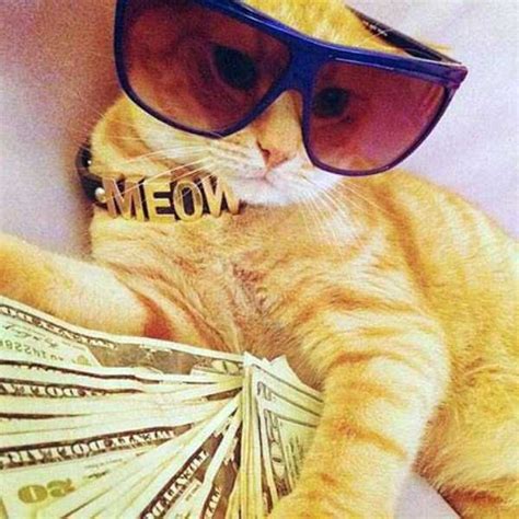 Cats Who Are Richer Than You Can Imagine | KLYKER.COM