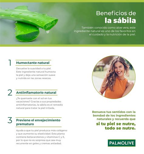 Beneficios de la sábila en la piel: ¿cómo se usa? | Palmolive