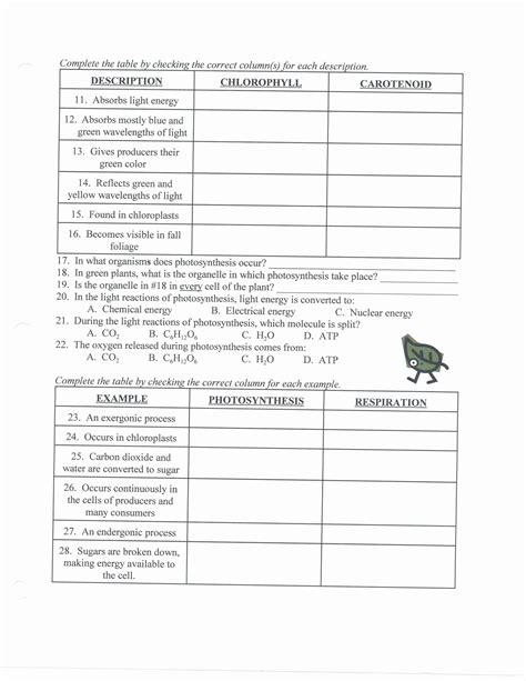 Relationships In Ecosystems Worksheet