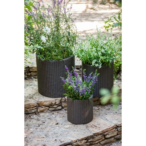 Keter 3 Piece Cylinder Pot Planter Set & Reviews | Wayfair