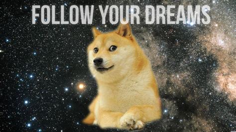 66 Doge Meme Wallpaper 4k