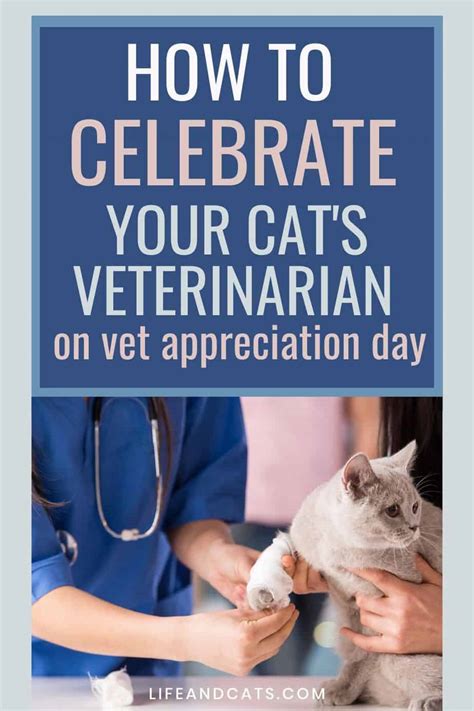 Veterinary Appreciation Day Ideas