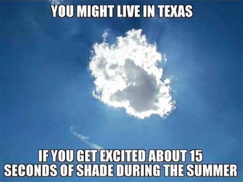 Yeehaw, Texas Memes! (53 pics) - Izismile.com