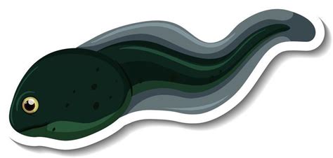 Tadpole Vector Art, Icons, and Graphics for Free Download