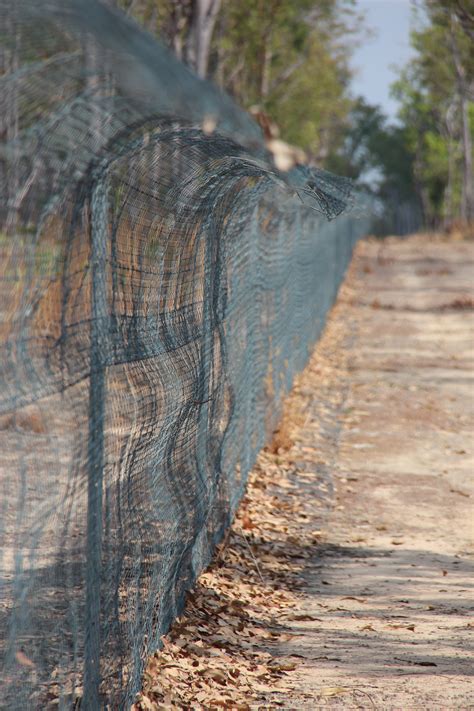 Monitoring the secret lives of Kakadu's feral cats - Northern Australia ...