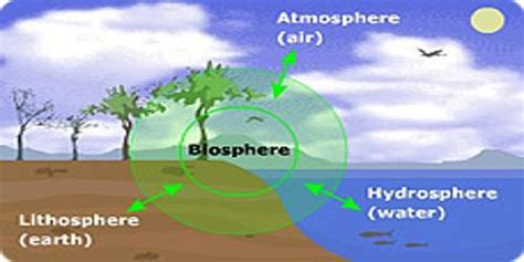 Evolution of Atmosphere and Hydrosphere - QS Study