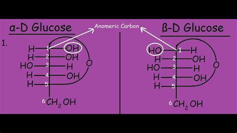 Alpha And Beta Glucose Ring Structure