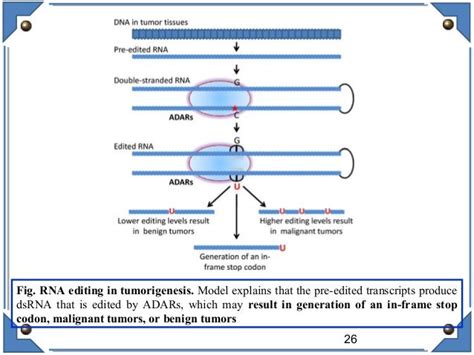 RNA editing