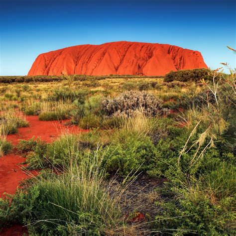 Highlights | Uluru-Kata Tjuta National Park