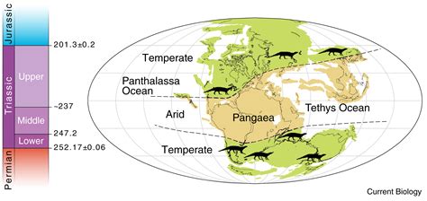 The Triassic: Current Biology