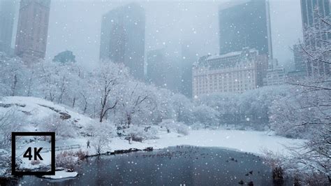 Snowfall in Central Park, New York | Walking in Central Park in the ...