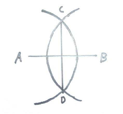 Math on the McKenzie: Rocky Meets Euclid or How to Bisect a Line Segment