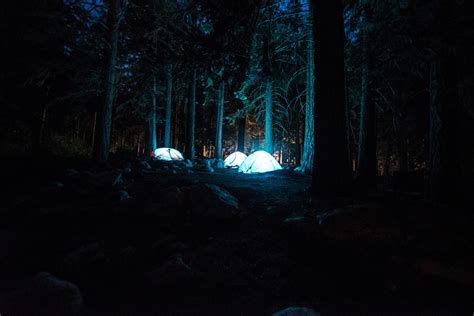 무료 이미지 : 나무, 숲, 눈, 햇빛, 저녁, 어둠, 캠핑, 텐트, 월광, 서식지, 한밤중, 스크린 샷 4240x2832 - - 10234 - 무료 이미지 - PxHere