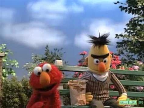 Sesame Street - Elmo Scares Bert's Pigeons Away - YouTube