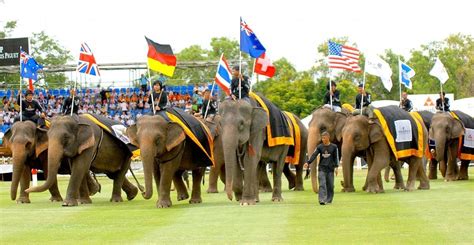 The Most Fun You Can Have in Thailand: Elephant Polo with Anantara