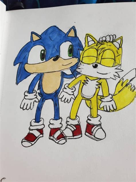 Sonic Movie 2 Sonic and Tails by Silverfangirl23 on DeviantArt