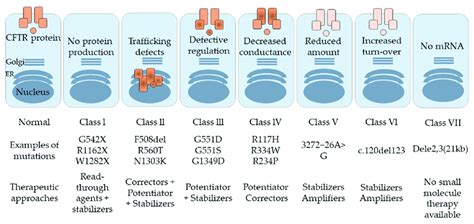 Different classes of CFTR mutations along with the possible therapeutic ...