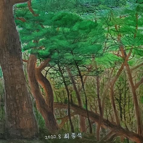 Pine Forest Painting - SeoArt